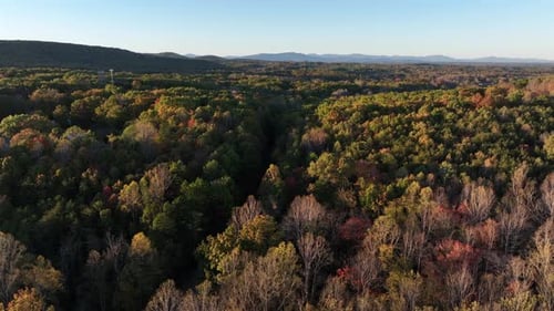 Peaceful colored forest landscape of USA at golden sunset. Multicolored trees and woodland in fall