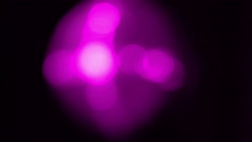 Vibrant purple lights create an immersive atmosphere in dim space
