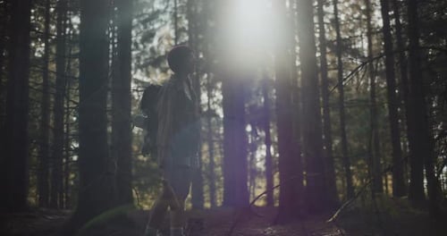 Touristin schaut sich inmitten von Bäumen im Wald um