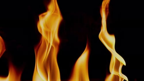 Abstract Isolated Hell Fire Flames 8