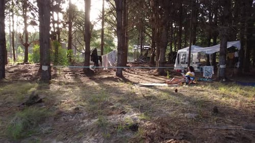 Woman Reads in Sunny Forest Camping Scene