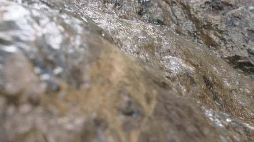 Pure Fresh Water Stream In Mountains Clean Water River Flowing