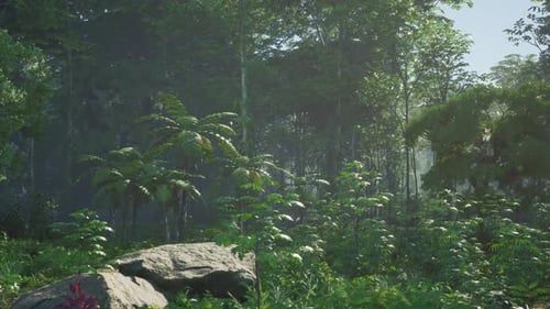 Flying Through a Lush Tropical Green Forest Environment