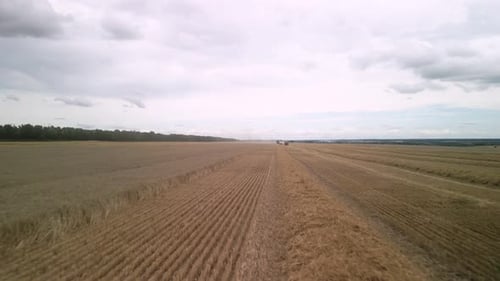 Wheat field aerial view in Ukraine