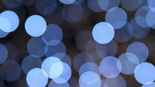 Ruhige Weihnachtsbeleuchtung, sanfte azurblaue Lichter sorgen für eine ruhige, sanfte Winterurlaubsatmosphäre.