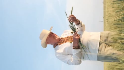 Senior Man Holds Wheat Stalks in Field