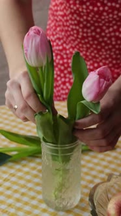 Woman Arranges Pink Tulips in Glass Jar at Home