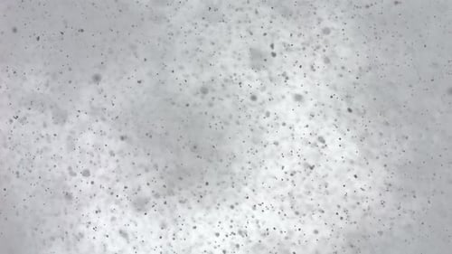 Schnee