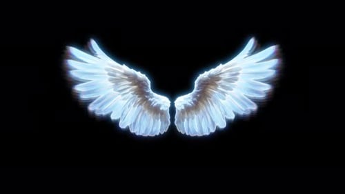 Wings loop animation 4K