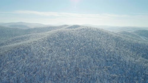 Aerial Winter Mountain Landscape of a Frozen Forest with Snow and Ice Covered Trees on a Sunny