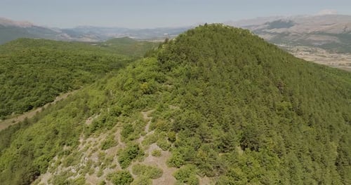 Aerial view of mountains covered in trees, Italy.