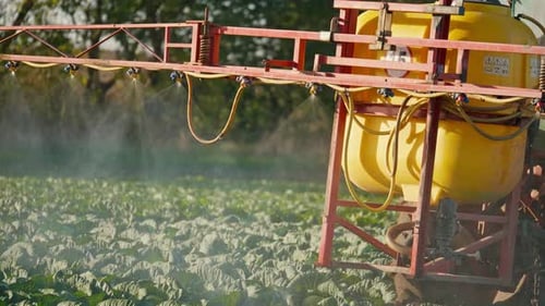 Chemical Processing of Fields with Agricultural Machinery A Tractor Sprayer Treats the Plantations