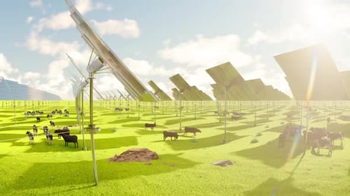 3D Animation of Solar Panels and Grazing Cows Day to Night Cycle