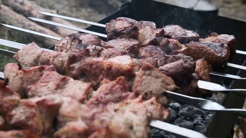 Delicious Meat Cooking on an Outdoor Barbecue Grill