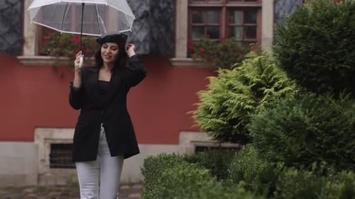 Parapluie imperméable pour femme recouvert de poils de châtaignier brun