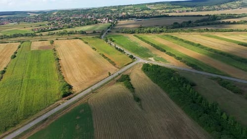 Drone flying above agriculture field. Aerial view
