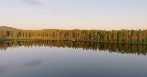 Spruce Forest With Mirror Reflection On Transparent Lake In Lapland, Northern Sweden. Aerial Drone S