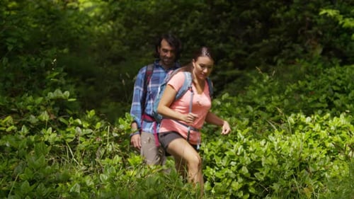 Couple enjoying a summer hiking adventure through lush green forest