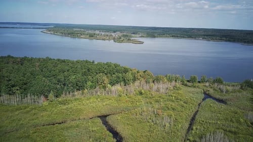 Green Thickets Along Calm Water.