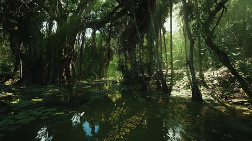 Abundant Plant Life and Gleaming Water Bodies Establish Ambiance