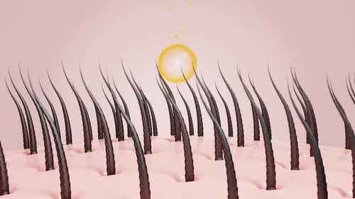 3D Microscopic Hair Follicle Strengthening Treatment Animation