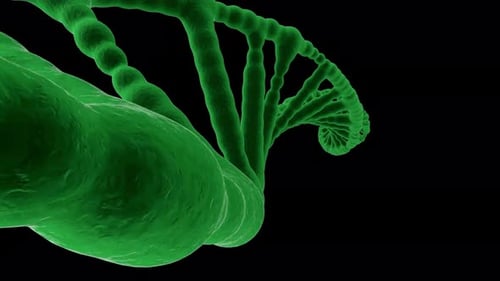 3D Green DNA Double Helix Rotating for Scientific Concept
