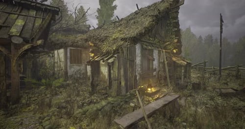 Moss Covered Abandoned Hut in a Dense Forest During Overcast Weather