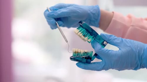 Dental Professional Demonstrating Tool Use on Teeth Model