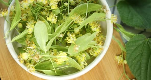 Linden flowers and leaves on table, flat lay