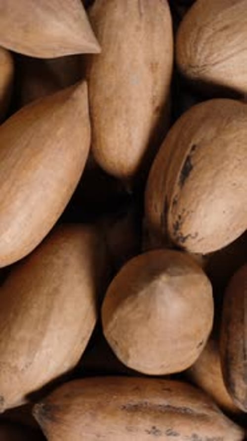 Vertical video. Pecan in Shell, Top-Down Rotation, Close-Up, Looping.