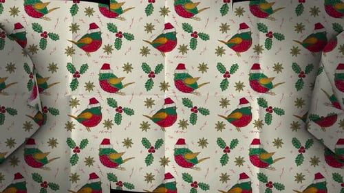 Christmas Wrapping Paper Reveal with Festive Birds and Holly