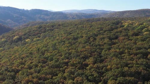 Flying Over the Forest in Autumn 03
