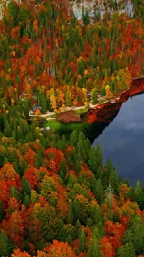 Breathtaking Vertical View of Colorful Autumn Foliage by a Calm Lake