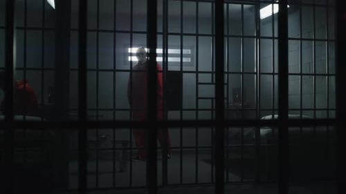 Criminal Looks in Window and Walks in Jail Cell
