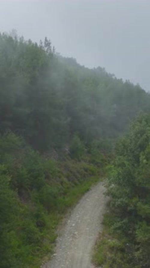 Vertical Video Clouds Drift Over Lush Green Forests in a Stunning Mountain Scene Under Clear Blue