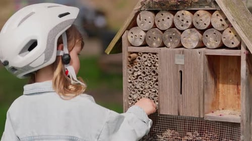 Little Beautiful Girl Walking Up to the Insect Hotel Watching Insects and Bees Outdoors