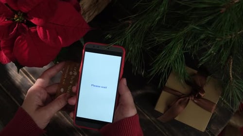 Payment for Christmas Online Shopping Using Bank Card Money Transfer Online