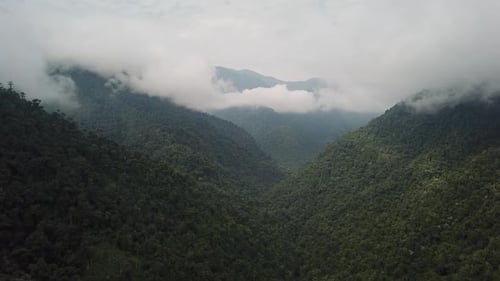 Vue aérienne de la jungle colombienne avec de magnifiques paysages avec des montagnes, des nuages et une forêt luxuriante à Tayrona