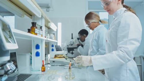 Laboratory Team of Scientists Conducts a Chemical Experiment and Holds a Test Tube Over the Fire