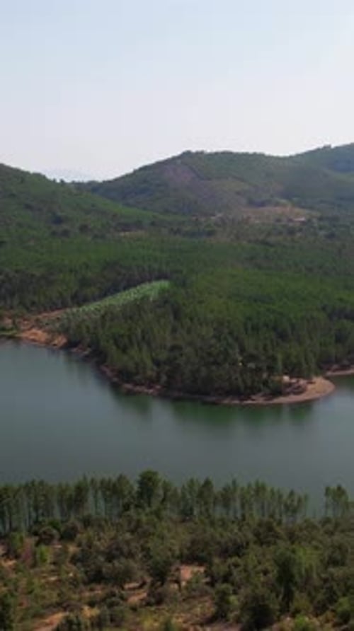 Vertical Video of Lake and Forest