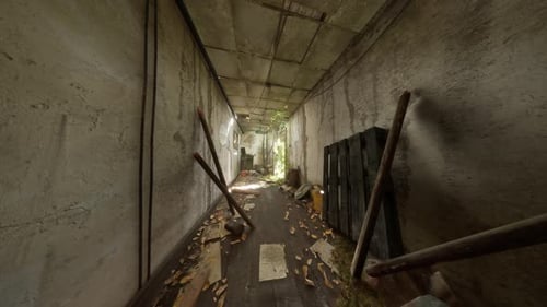 Gritty Dolly Shot Through Abandoned Overgrown Hallway
