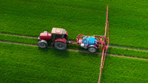 Tractor Spraying Nitrogen Fertilizer or Pesticides on Agricultural Field with Dense Green Crops