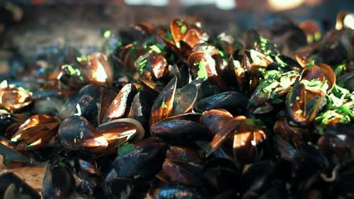 Fresh mussels with rosemary grilling on an open air frying pan delicious seafood