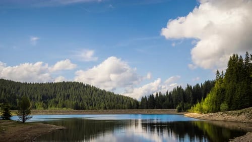 Lake with Clear Water and Stone Shore in Spruce Forest with Fir Trees Against a Daytime Sky