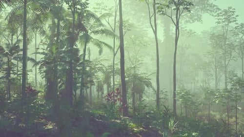 Dense Green Forest With Abundant Trees