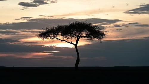 Stunning African Sunset