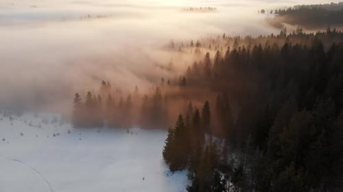 Aerial Drone View to Fog and Clouds Over Carpathian Mountains