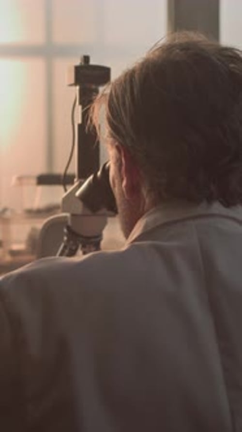 Microbiólogo maduro analisa amostra fóssil sob microscópio