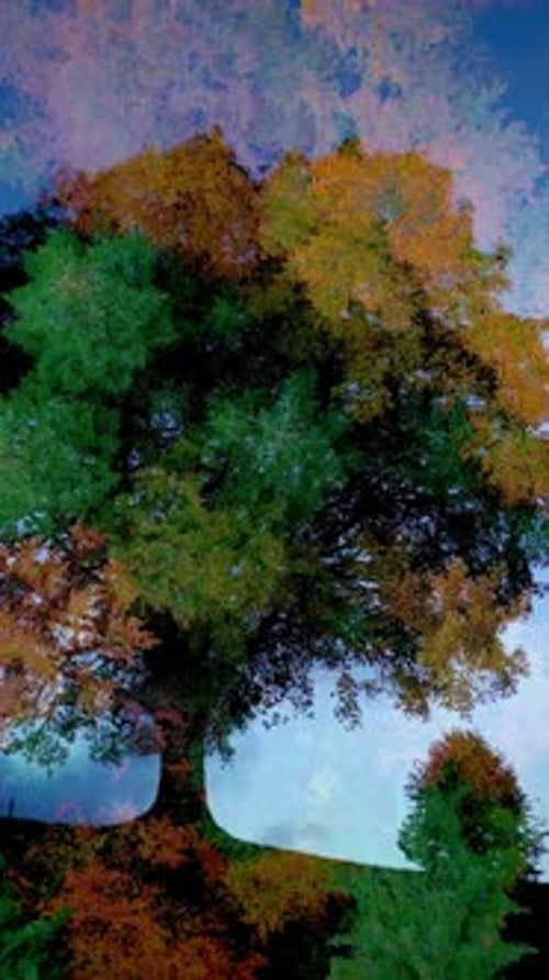 Abstract Tree Representing All Four Seasons