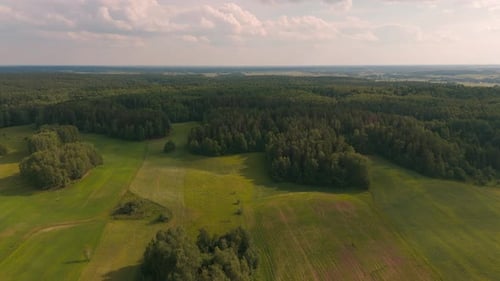 Aerial flight of green forest during the sunny day, green landscape and scenic view 4k 60fps